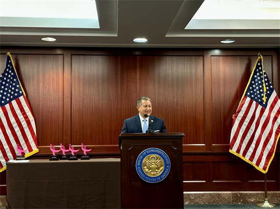 Rep. Morelle Speaks at an Awards Ceremony for the Susan G. Komen Foundation